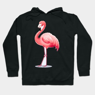 Flamingo Hoodie